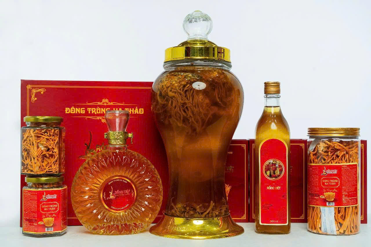 Hướng dẫn sử dụng đông trùng hạ thảo